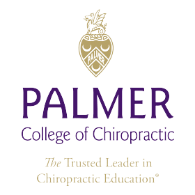 Palmer Logo